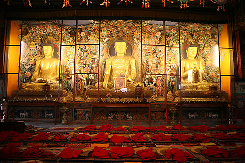 L'interior del monestir de Shechen
