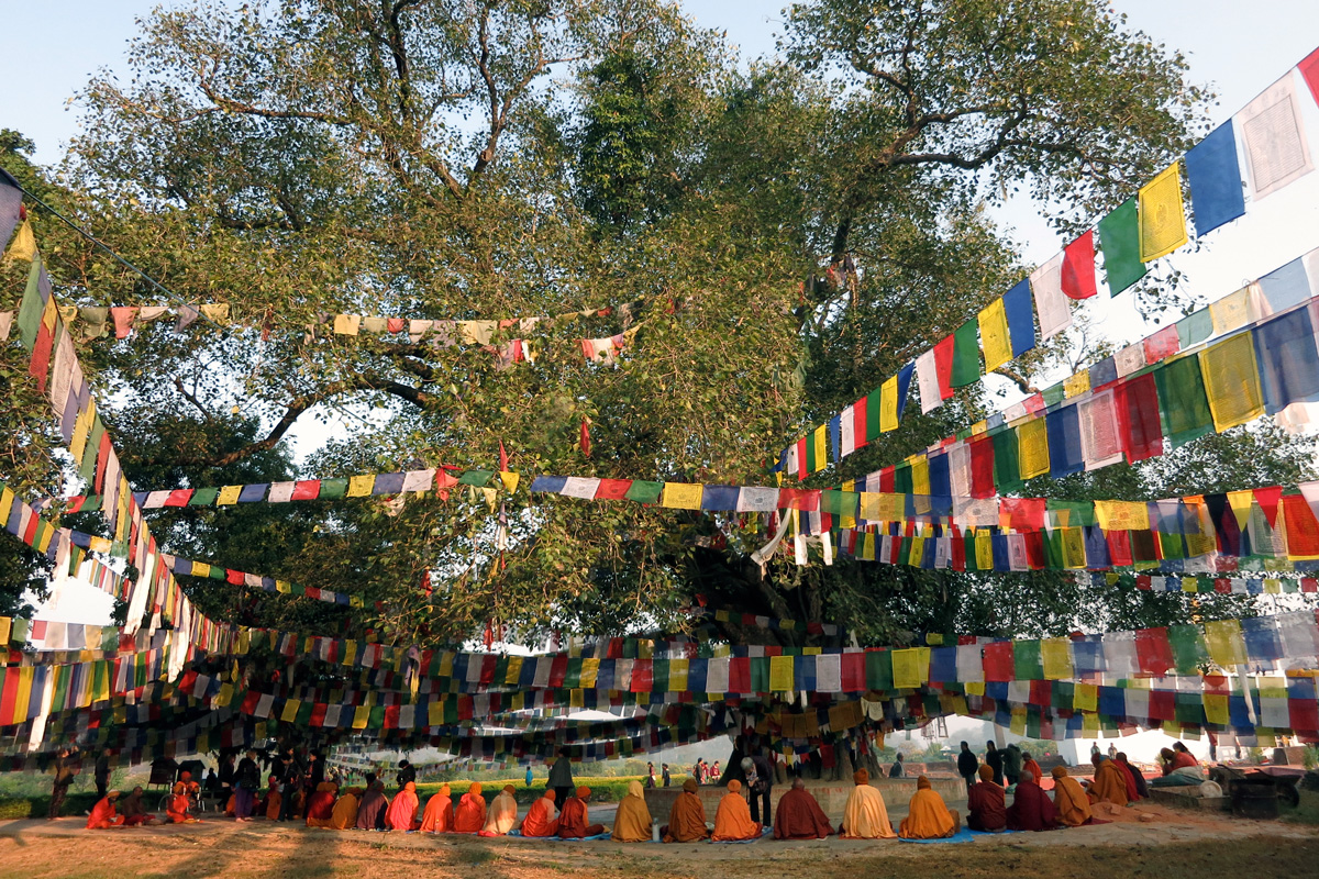 La festa al voltant de l'arbre on Buda va assolir la il·luminació, a Lumbini. Foto: Manel Carrera