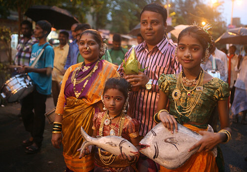 Familia koli