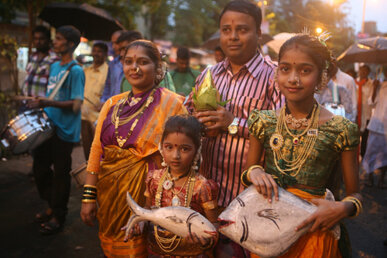 Familia koli