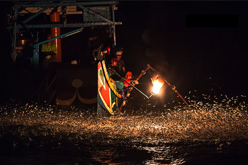 Pesca a l'encesa a Taiwan