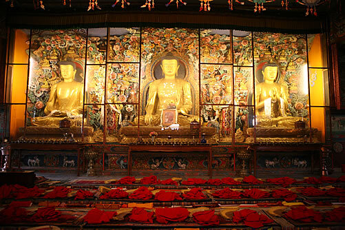 L'interior del monestir de Shechen