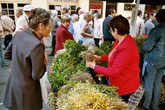 Galeria principal