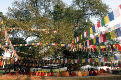 La festa al voltant de l'arbre on Buda va assolir la il·luminació, a Lumbini. Foto: Manel Carrera
