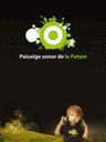 Paisatge sonor de la Patum